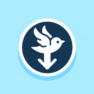 Video Downloader | TikTok YouTube