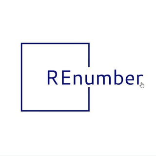   REnumber Lab – IT Outstaff – Jobs / Pojects