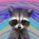 Канал Digital Raccoon