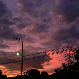   Тихий Умерший Городок 🥷