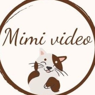 Канал   MIMI_VIDEO Животные