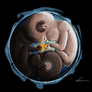 Канал   Психология эмбриона
