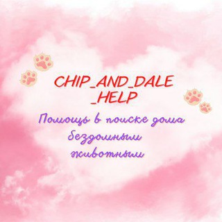 Канал   Chip_and_Dale_help
