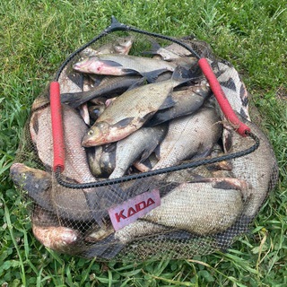 Канал Рыбалка круглый год Chat