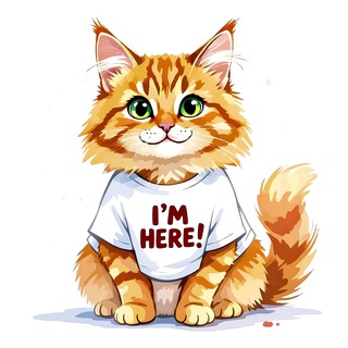 Канал   Кошачий Уголок