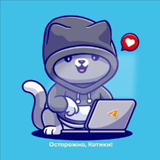 Канал   Осторожно, Котики!