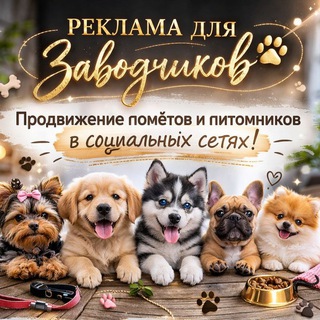   Зоообьявления щенки, котята, реклама производителей, услуг итд
