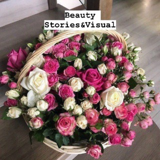 Beauty Stories&Visual