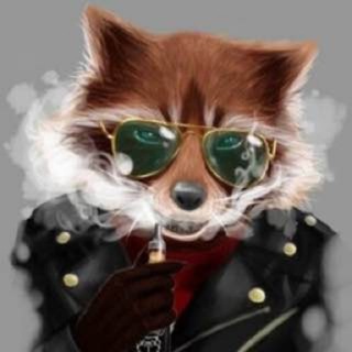 Канал   Raccoon smokes электронки Опт