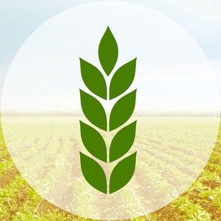 Канал   Агропром: Сельское хозяйство и пищевая промышленность России (КФХ Крестьянское фермерское хозяйство агро зерно официальный сайт)