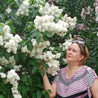   Адвокат ОЗен