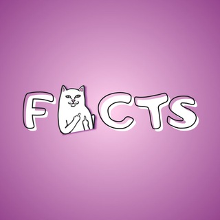 Канал   ФАК | Факты Анонимных Котиков