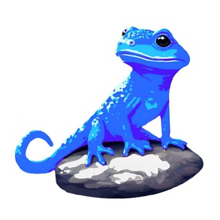 Канал   Chameleon  ART 