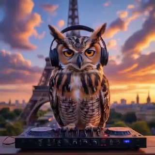 Канал   𝕯𝕵 𝐳𝐯𝐞𝐫𝐫𝐫 ᵒᶠᶠ