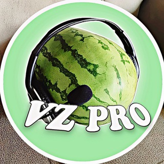   VZ PRO | ВЗ ПИАР (TG)
