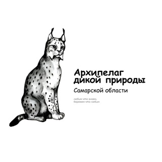 Канал   Архипелаг дикой природы Самарской области