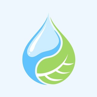 Канал   Живой Пар Калининград