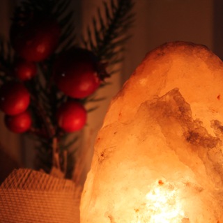 Канал   книга зарастает лесом