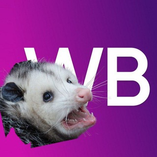 Канал   Wild Opossum