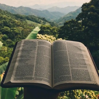 Канал   📖 С Библией по жизни 📖