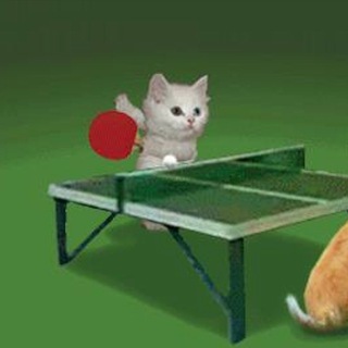 Канал   Ping Pong Show 🏓