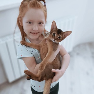 Канал   Абиссинская мама