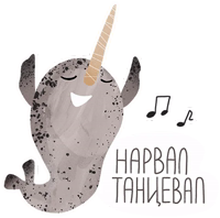 lovely narwhal