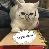 КотикЦмок2