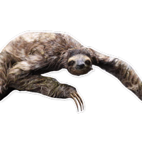 Sloth