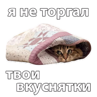 Котичи